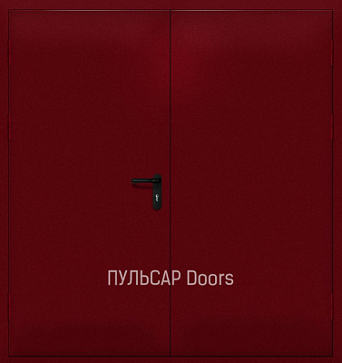 Двупольная противопожарная дверь с порошковым покрытием №2 – купить, заказать по выгодной цене от 47268 руб.